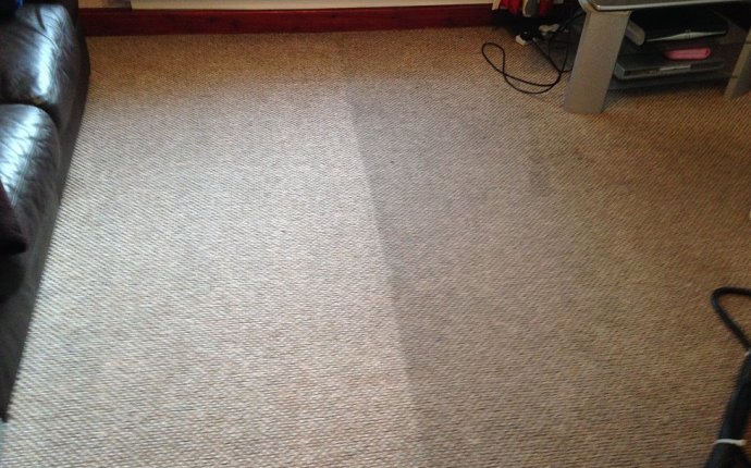 AVS Cleans | Carpet cleaning Alnwick