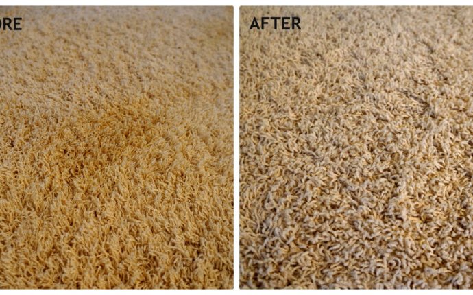 Best Way To Remove Pet Stains From Carpet - Carpet