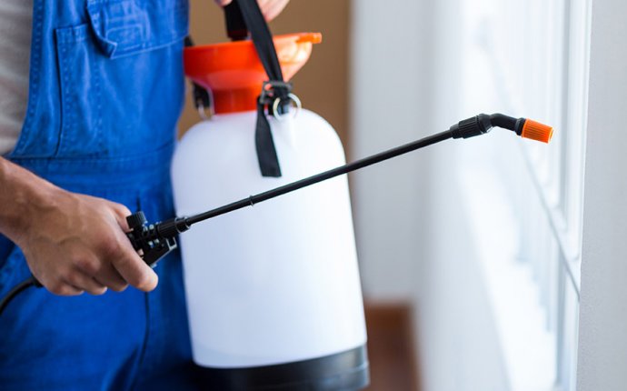 Bryan s Steam Cleaning & Pest Management - Coffs Harbour | Home