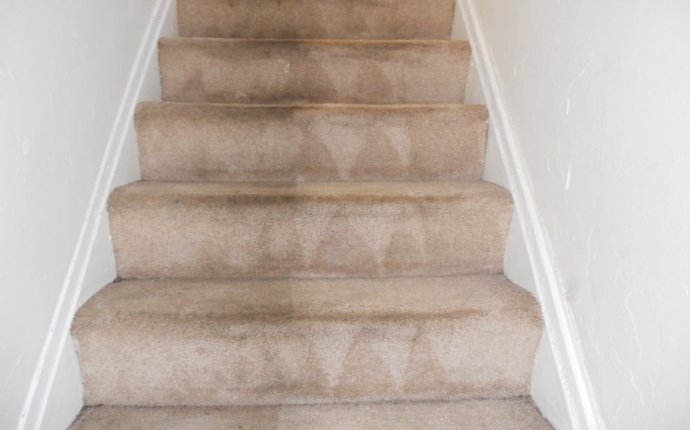 Carpet Cleaner Stairs - Carpet