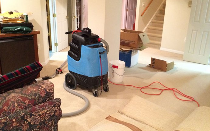 Carpet Cleaning Arlington VA | Same Day Service