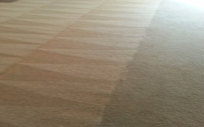Carpet Cleaning Land O Lakes FL - Trinity Carpet Care