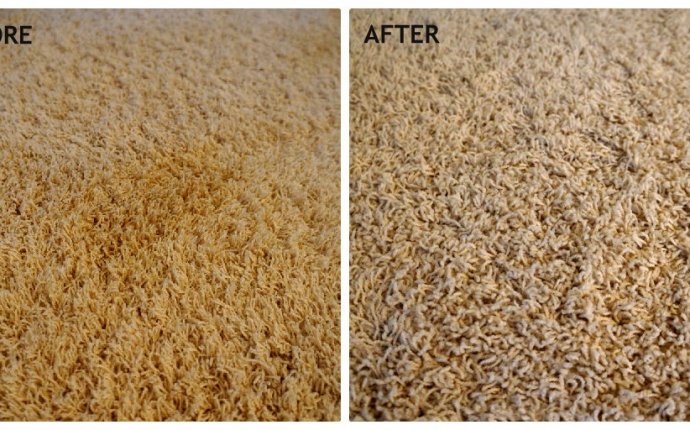 Carpet cleaning pet stains - carpet steam cleaner