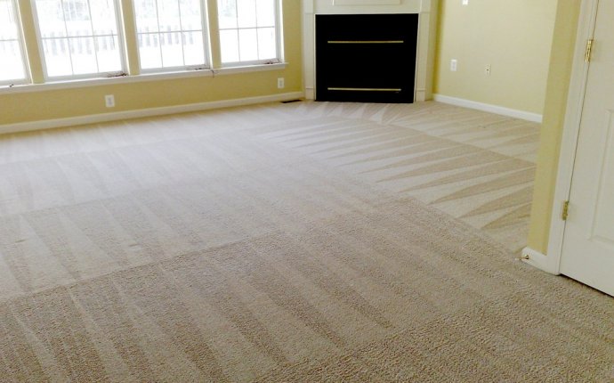 Carpet Cleaning - Yahoo Local Search Results