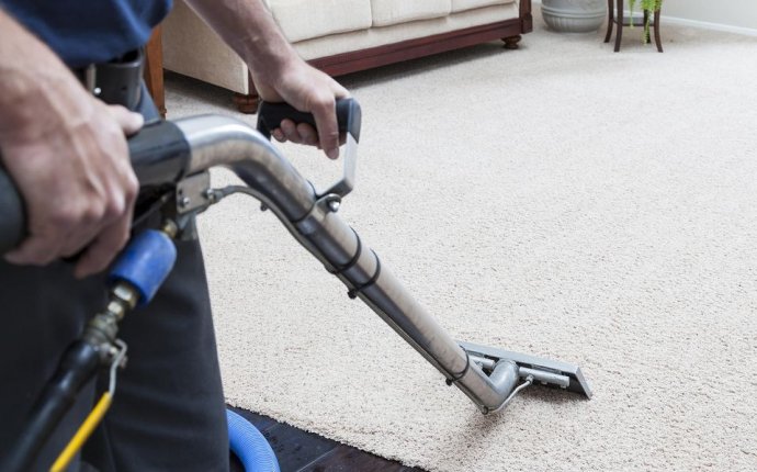 Carpet Steam Cleaning: Professional vs. DIY