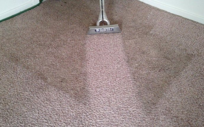 Clean Master Carpet Cleaning Deals & Coupons - The Local Lineup
