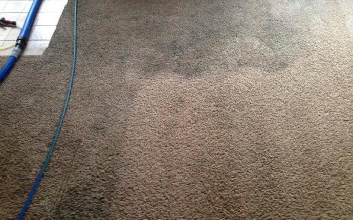 Cleaning carpets Www.renaissance-carpet.com 619-248-5407 #el-cajon