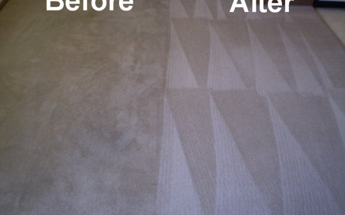 Deep Cleaning Carpet - Carpet