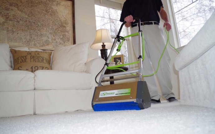 Dry Organic Carpet Cleaning Service Company Cape Coral Florida