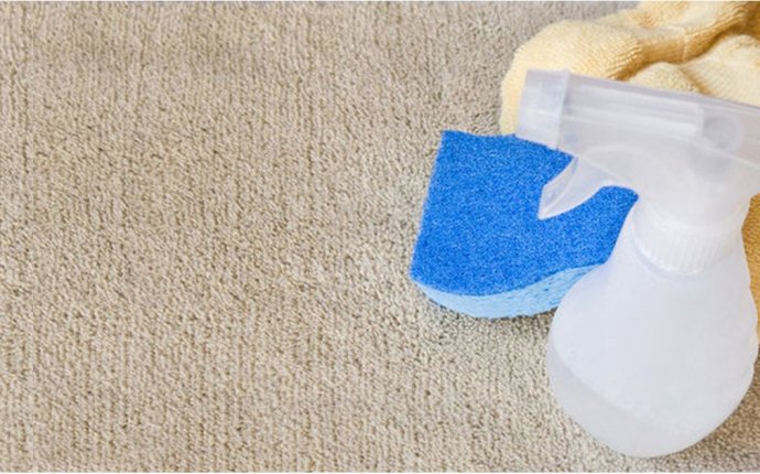 Homemade Carpet Cleaner | POPSUGAR Smart Living