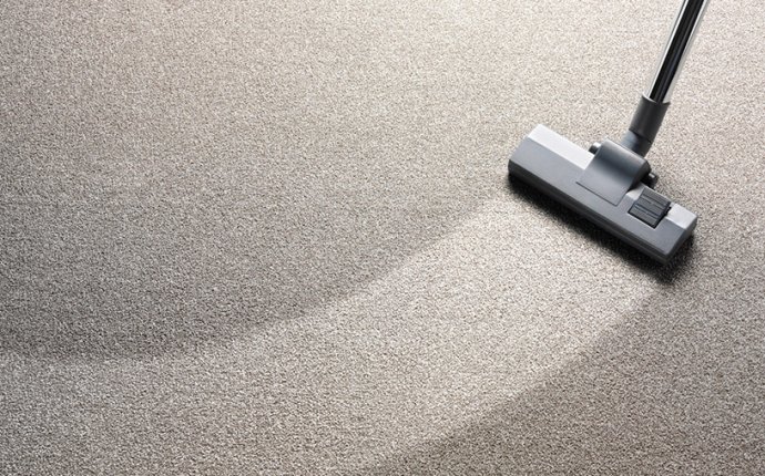 Homeowners Guide to Carpet Cleaning Perth - LocalBuisness AU