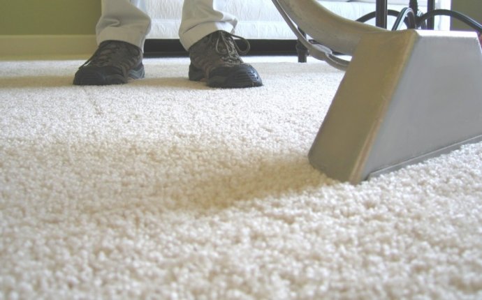 How Does Professional Carpet Cleaning Work - Carpet Vidalondon