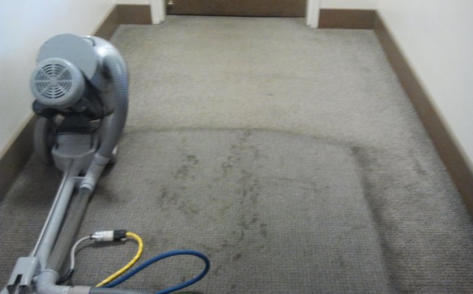 How To Dry Carpet After Cleaning - Carpet