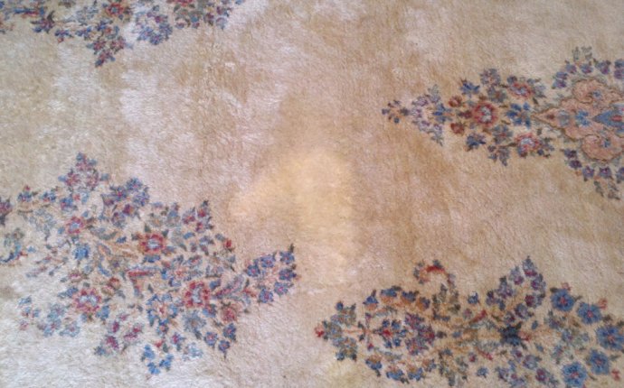 Large Rug - Carpet Care Cleaners