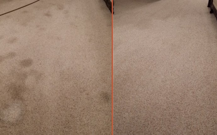 Most Reviewed Commercial Carpet Cleaning in Carmichael
