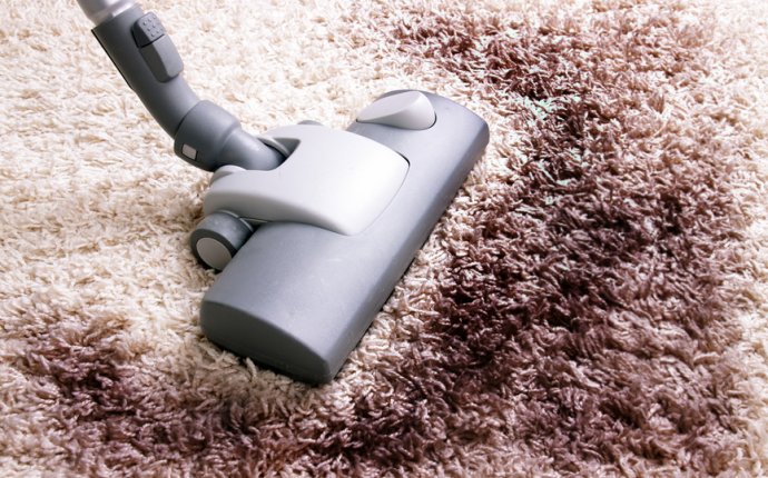 New Haven Carpet Cleaning | New Again Carpet Cleaning