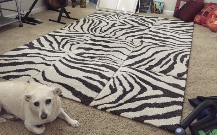 Photos for Stain Busters Carpet Cleaning - Yelp