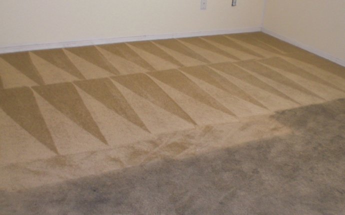 Professional Carpet Cleaning Services - South Africa