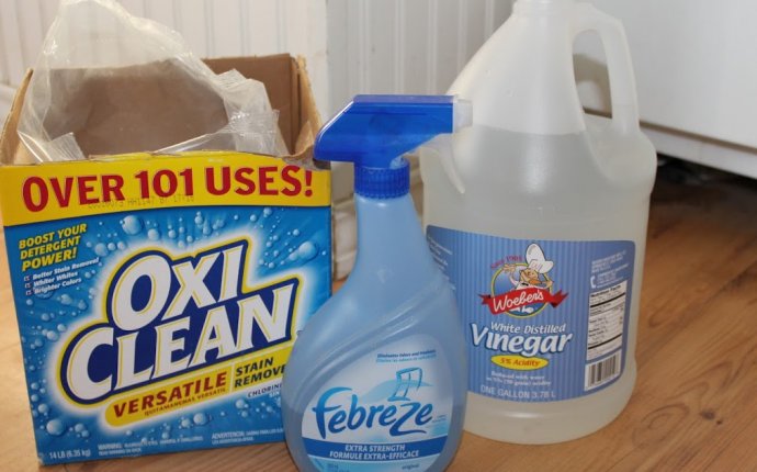 The Prudent Life: Homemade Carpet Shampoo