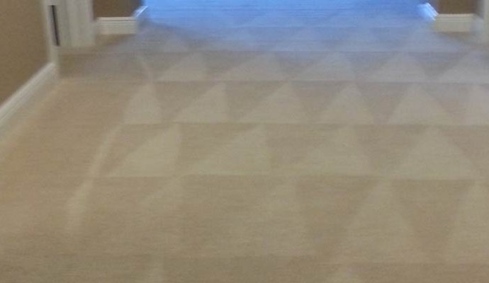 Trinity Carpet Care - Carpet, Tile, Upholstery Cleaning