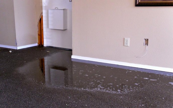 Water Damaged Carpets Bundoora Melbourne / Masters Water Damage