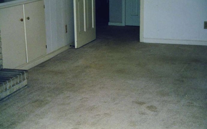 Carpet Cleaning Statesboro GA