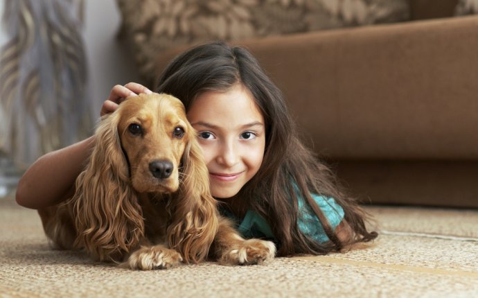Carpet Cleaning for dog urine