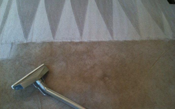 Best professional Carpet Cleaning method