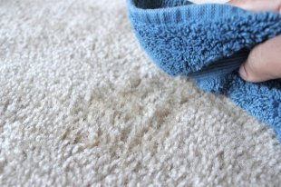 Blue Towel Blotting Carpet, Using Vinegar to Clean Carpet