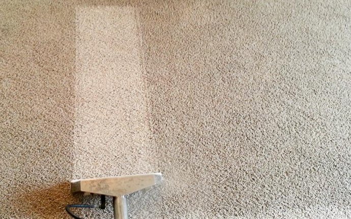 Carpet Cleaning professional VS doing yourself