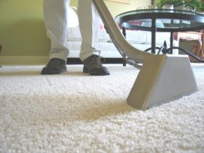 Carpet Cleaning Options - Quicken Loans Zing Blog