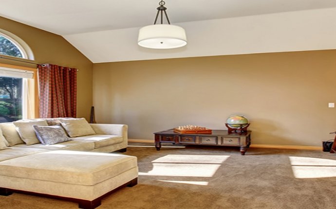 Furniture and Carpet Cleaning