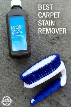 DIY carpet stain remover