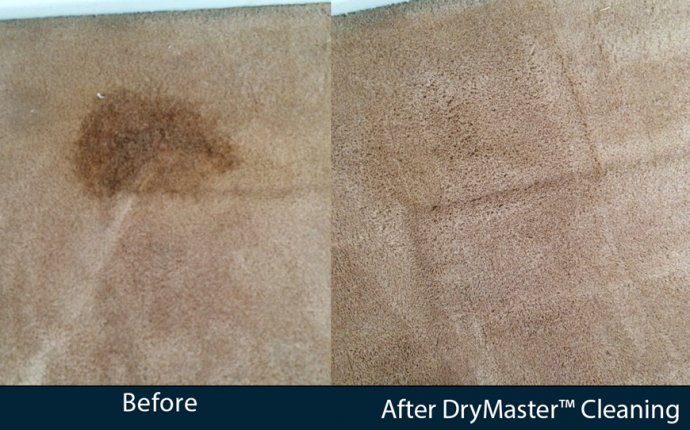 Low moisture Carpet cleaning equipment