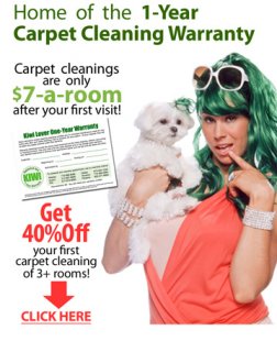Fort Worth Carpet Cleaning Warranty - Get 40% Off With Kiwi