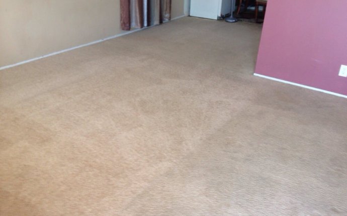 Pro Carpet solutions Carpet Cleaning