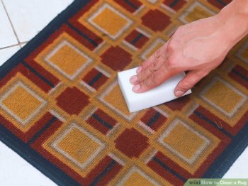 Image titled Clean a Rug Step 4
