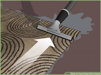 Image titled Clean Rugs With Vinegar Step 5