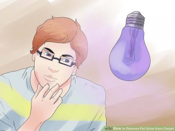 Image titled Remove Pet Urine from Carpet Step 9