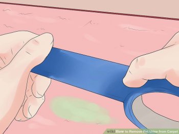 Image titled Remove Pet Urine from Carpet Step 11