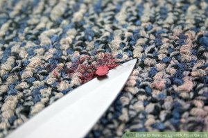 Image titled Scrape Step 1