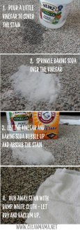 Step by Step Carpet Stain Removal via Clean Mama