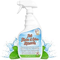 Sunny & Honey Professional Pet Stain and Odor Eliminator