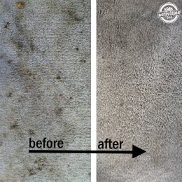 this cleaning recipe really works these are before and after of carpet stains