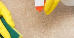 Tile, Grout, and Stone Cleaning