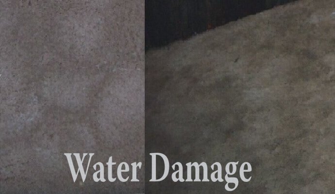Water damaged Carpet Cleaning