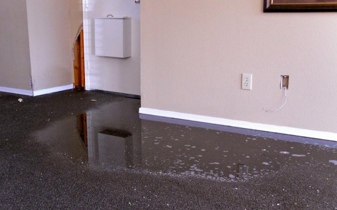 Carpet Cleaning, water Damage