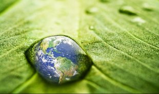 Your eco friendly commercial carpet cleaning company